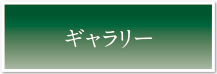 ギャラリー