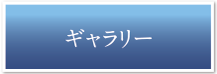 ギャラリー